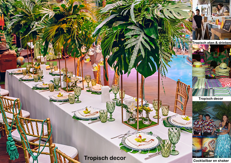 Leukste tropische feest